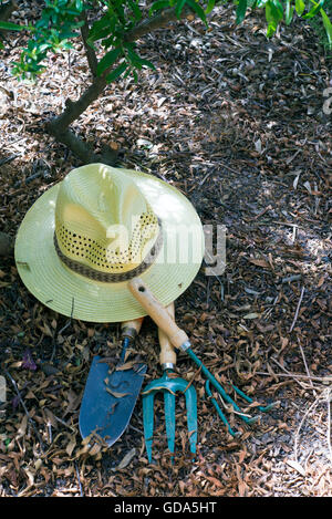 Strohhut und Gartengeräten auf den Boden vollständig trockenen Blättern. Textfreiraum Stockfoto