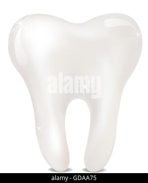 Zahn auf weißem Hintergrund. isoliert Stock Vektor