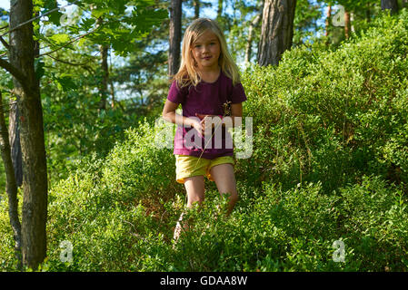 Kind blondes Mädchen Kommissionierung frischen Beeren auf Heidelbeere Feld im Wald. Kind abholen Blaue Beeren im Wald. Kleine Mädchen spielen Stockfoto