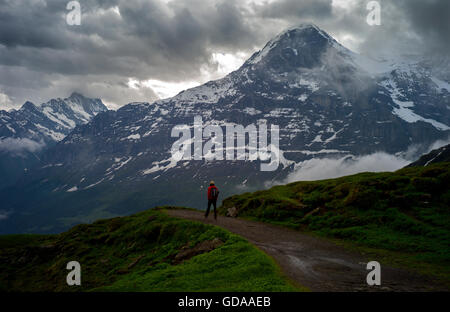 Schweiz. Berner Oberland. Juli 2016Walking in den Schweizer Alpen Grindelwald aus männlichen mit Eiger als Kulisse. Stockfoto