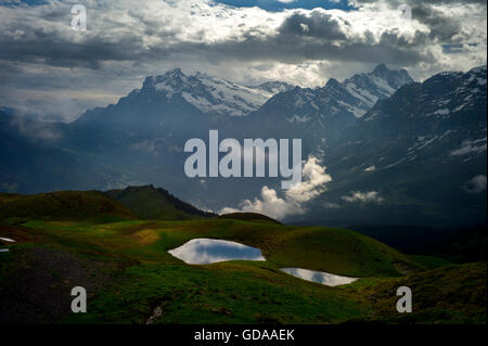 Schweiz. Berner Oberland. Juli 2016Walking in den Schweizer Alpen Grindelwald aus männlichen mit Eiger als Kulisse. Stockfoto