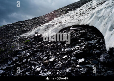 Schweiz. Berner Oberland. Juli 2016Walking in den Schweizer Alpen Grindelwald aus männlichen mit Eiger als Kulisse. Stockfoto