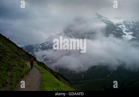 Schweiz. Berner Oberland. Juli 2016Walking in den Schweizer Alpen Grindelwald aus männlichen mit Eiger als Kulisse. Stockfoto