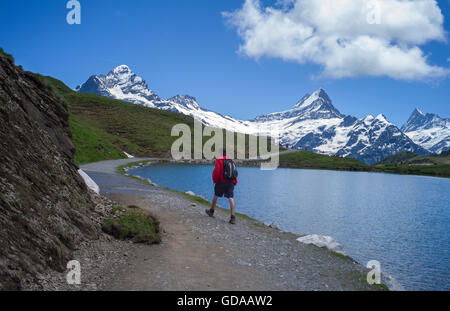 Schweiz. Berner Oberland. Juli 2016Walking von FIRST über Grindelwald in den Schweizer Alpen auf See Bachalpsee Stockfoto