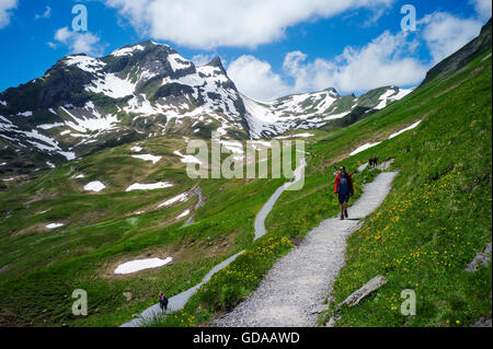 Schweiz. Berner Oberland. Juli 2016 zu Fuß von der FIRST über Grindelwald in den Schweizer Alpen See Bachalpsee Stockfoto