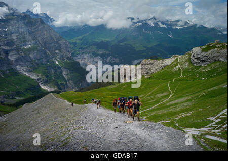 Schweiz. Berner Oberland. Juli 2016Walking von Eigergletscher entlang eiszeitliche Moräne nach Wengen in den Schweizer Alpen Stockfoto