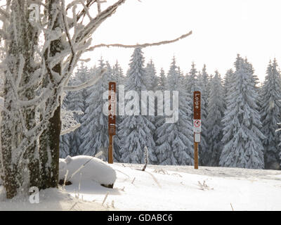 Deutschland, Niedersachsen, Harz, den Schildern zum Achtermannloipe vor schneebedeckten Tannen, Langlaufen auf der Achtermann im Harz Stockfoto