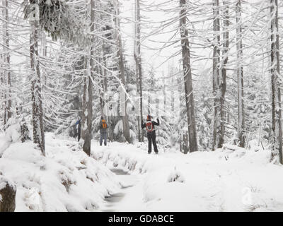 Deutschland, Niedersachsen, Harz, zwei Personen in das Wintersportzentrum im Harz, an die Clausthaler Flutgraben, Ski-Langlauf im Harz Stockfoto