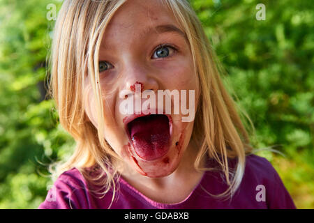 Girl zeigt Zunge gefärbt von Heidelbeeren. Niedliche kleine blonde Mädchen frische Beeren pflücken, auf Heidelbeere Feld im Wald. Stockfoto
