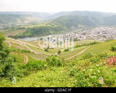 Deutschland, Rheinland-Pfalz, Kröv, Steig auf die Mosel, Dorf zwischen Weinbergen und Mosel, Blick über Weinberge auf Dorf Stockfoto