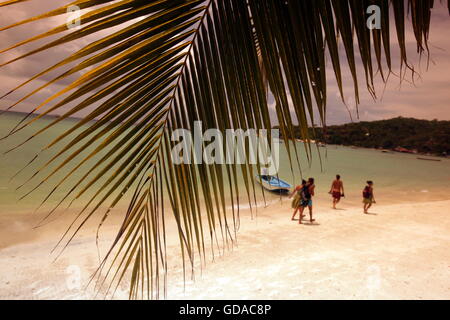 die Mae Hut Bay Beach auf Ko Tao Insel im Golf von Thailand im Südosten von Thailand in Südostasien. Stockfoto