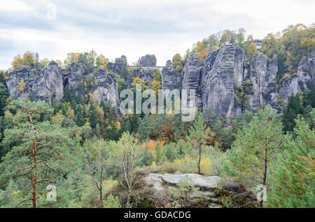 Outdoor Dreier mit Monika Sommer im Wald um Berlin Outdoor Dreier mit Monika Sommer im Wald um Berlin