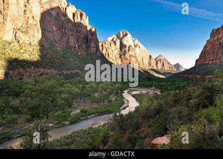 North Fork Virgin River in Utah, USA Stockfoto