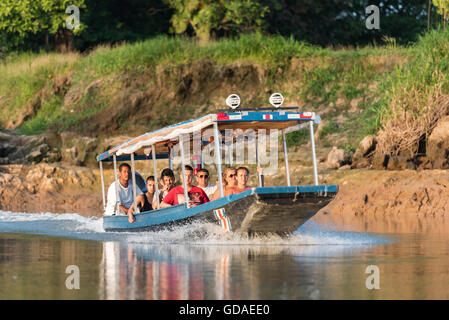 Limón, Tortuguero, Nationalpark Tortuguero, Costa Rica, Taxibus in Tortuguero Nationalpark Stockfoto