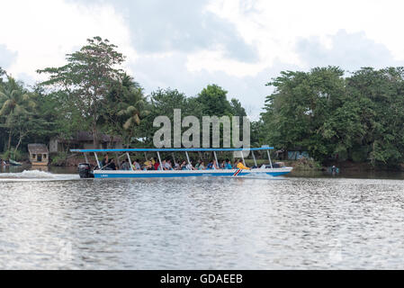 Limón, Tortuguero, Nationalpark Tortuguero, Costa Rica, Taxibus in Tortuguero Nationalpark Stockfoto