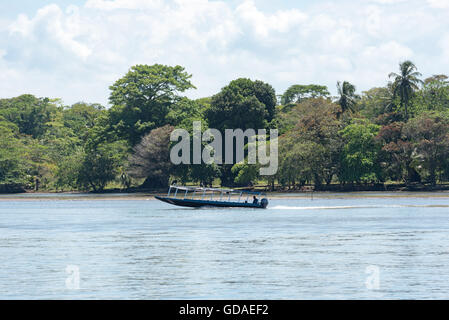 Limon, Costa Rica Tortuguero Nationalpark Tortuguero, leere Taxiboot in Tortuguero Nationalpark Stockfoto