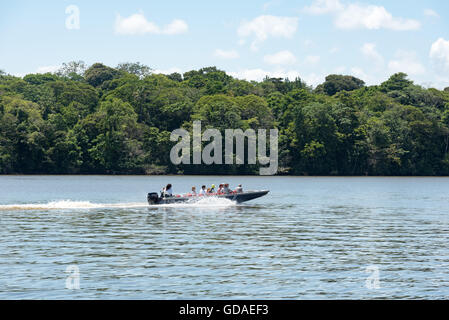 Limón, Tortuguero, Nationalpark Tortuguero, Costa Rica, Taxibus in Tortuguero Nationalpark Stockfoto