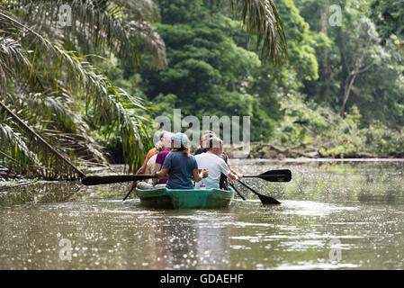 Limón, Tortuguero, Costa Rica, Tortuguero Nationalpark auf Boot Reise in den Wasserwegen der Tortuguero Nationalpark Stockfoto