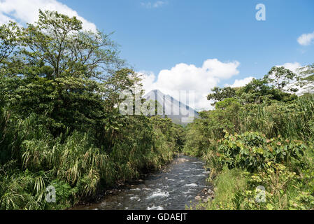 Alajuela, Costa Rica, San Carlos, der Vulkan Arenal ist der aktivste und zugleich der jüngste von Costa Rica Stockfoto