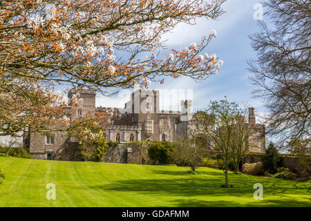 Frühling blühen im Powderham Castle, Heimat der Earls of Devon in Kenton, in der Nähe von Exeter, Devon, England, UK Stockfoto