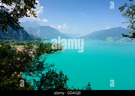 Steinbach am Attersee: am Attersee in Weißenbach am Attersee, mount Schafberg, Drachenwand, Österreich, Oberösterreich, Uppe Wand Stockfoto