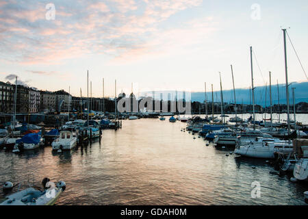 Schöne Aussicht von der Jetée des Eaux-Vives in Genf, Schweiz. mit Blick auf den Yachthafen mit den ruhenden Booten. Bild entstand ein Stockfoto