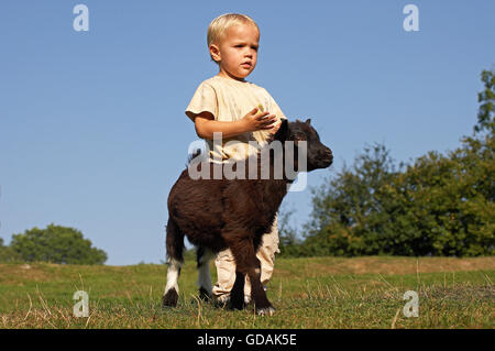 Kleiner Junge spielt mit Zwerg Ziege, Capra hircus Stockfoto