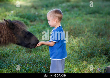 Junge mit Falabella Pony, Normandie Stockfoto