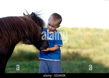 Junge mit Falabella Pony, Normandie Stockfoto