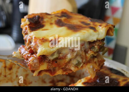 Hausgemachte Lasagne, Hausmannskost, hausgemachte Käse-Sauce, Bolognese-Sauce, Hackfleisch, Zwiebeln, Paprika, Knoblauch, italienische Küche Stockfoto