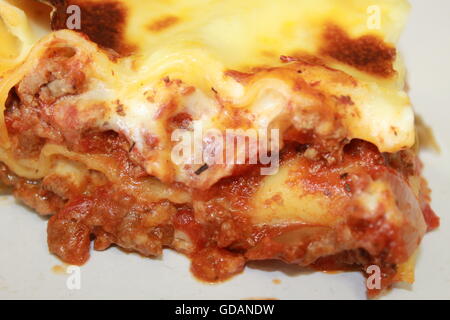 Hausgemachte Lasagne, Hausmannskost, hausgemachte Käse-Sauce, Bolognese-Sauce, Hackfleisch, Zwiebeln, Paprika, Knoblauch, italienische Küche Stockfoto