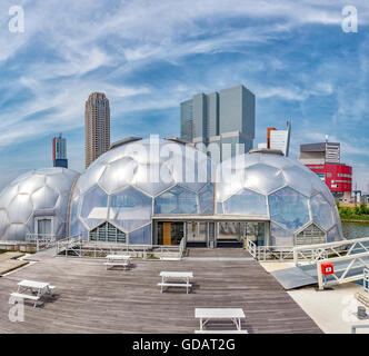 Rotterdam, modernen High-Rise Bürohaus und der schwimmende Pavillon Stockfoto