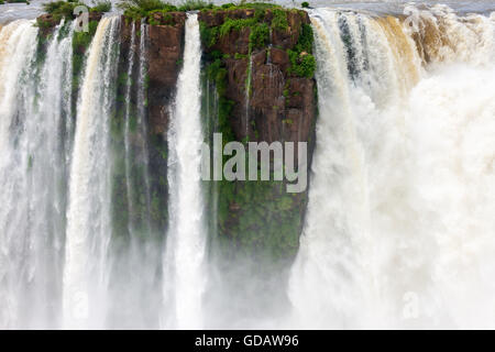 Iguazu Wasserfälle, Argentinien Stockfoto