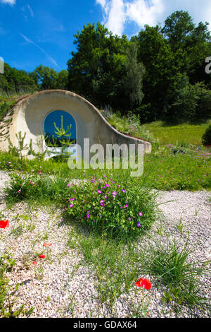 Erde, grüne Hausdach, Schweiz Stockfoto