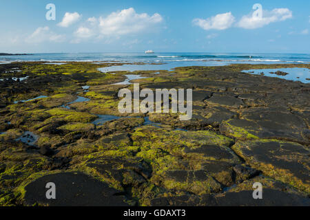 USA, Vereinigte Staaten, Amerika, Hawaii, Big Island, North Kona, Küste, Kaloko-Honokohau National Historic Park, Küste Stockfoto