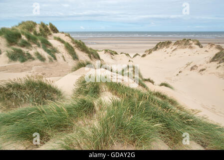 Sanddünen in Formby Punkt, Merseyside Dünengebieten Gras im Wind wehen. Blick auf das Meer. Stockfoto