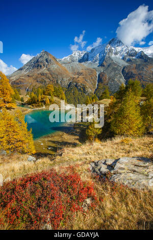 Lac Bleu, Grande Dent de Veisivi, Dent de Perroc, Wallis, Schweiz Stockfoto