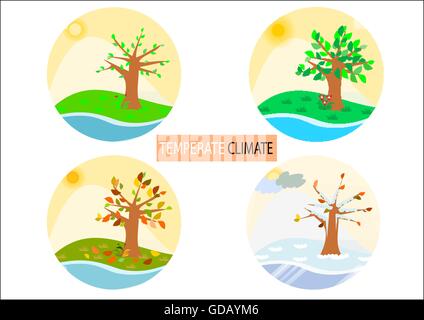 Runde gemäßigtes Klima Illustrationen Tasten Icons im Vektor-format Stock Vektor
