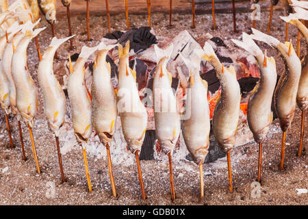 Honshu, Japan, Tokio, Tempel Messe, gegrillter Fisch Stockfoto