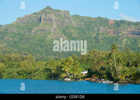 USA, Vereinigte Staaten, Amerika, Süd-Pazifik, Hawaii, Kauai Lihue, Wailua River Stockfoto