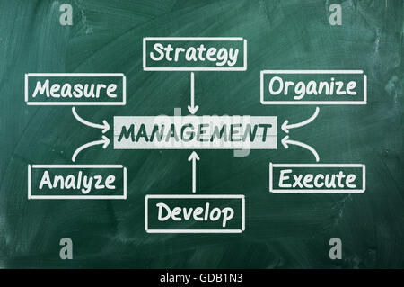 Management-Flow-Chart auf grüne Tafel geschrieben Stockfoto