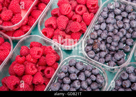 Frische Heidelbeeren und Himbeeren in Kunststoff-Box am Markt, lokales Essen gesunde Hintergrund Stockfoto