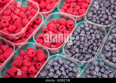 Frische Heidelbeeren und Himbeeren in Kunststoff-Box am Markt, lokales Essen gesunde Hintergrund Stockfoto