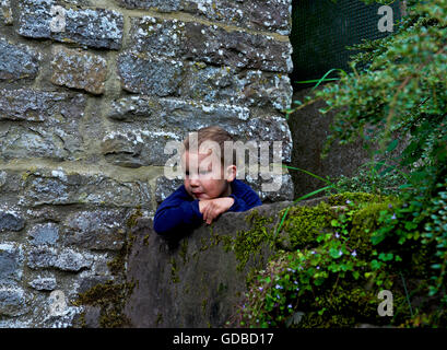 Zwei Jahre alten Jungen, die über eine Mauer gelehnt Stockfoto