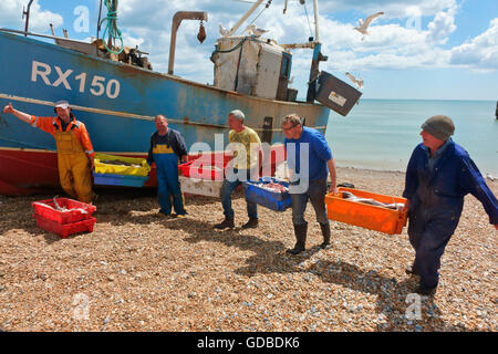 Hastings Fishermen entladen Fänge am Stade Fishermen's Beach, East Sussex England Großbritannien Stockfoto