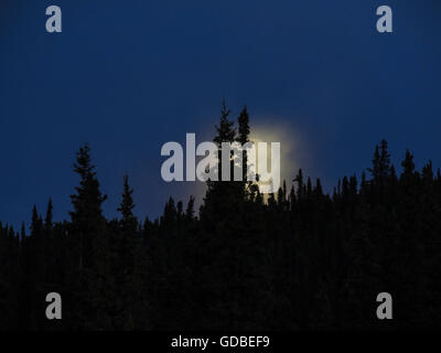 Mondaufgang über den Alaska Highway zwischen Fort Nelson und Fort St. John, British Columbia, Kanada. Stockfoto