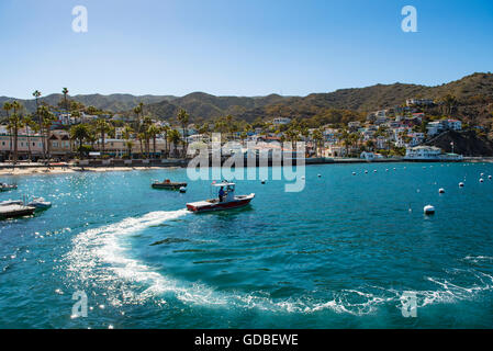 die Bucht von Avalon auf Santa Catalina Island aus Los Angeles, CA, USA Stockfoto