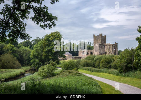 Tintern Abbey - die Ruinen der Zisterzienser-Abtei liegt auf der Halbinsel Hook, County Wexford, Irland. Stockfoto