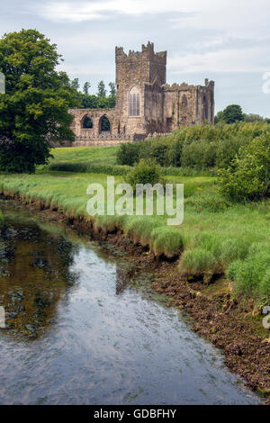 Tintern Abbey - die Ruinen der Zisterzienser-Abtei liegt auf der Halbinsel Hook, County Wexford, Irland. Stockfoto