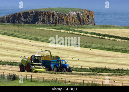 Landwirtschaft - Landarbeiter sammeln Silage in den Feldern in der Nähe von Dorf Ballycastle im County Antrim in Nordirland. Stockfoto